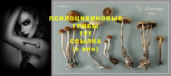 дурь Надым