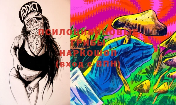 тгк Апатиты