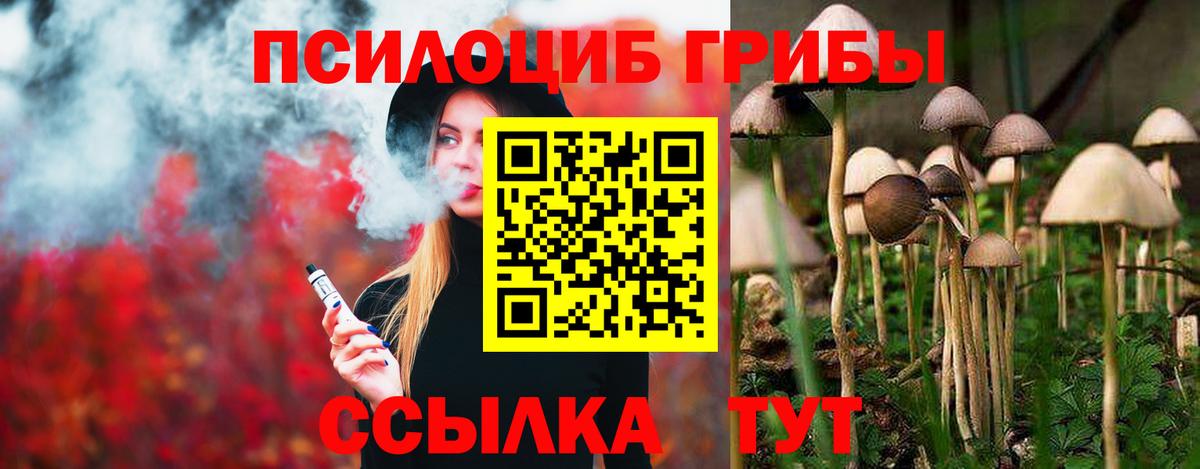 Псилоцибиновые грибы Psilocybine cubensis  Вход с VPN  что такое наркотик  Феодосия 